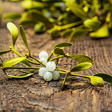 Mistletoe Kisses Jar Candle