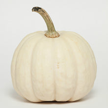 White Pumpkin Melt