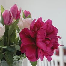 Tulip Fields & Peony Melt
