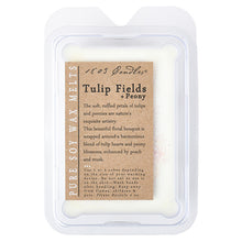 Tulip Fields & Peony Melt