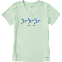 Three Hummingbirds V-Neck T-Shirt