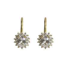 Oval Halo Lever Back Earrings