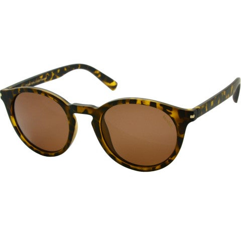 Cedar Elite Sunglasses