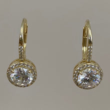 Cubic Zirconia Round Halo Drop Earrings