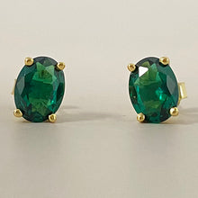 Oval Shape Earrings