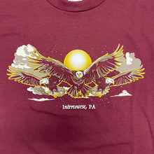 3 Bald Eagles Intercourse, PA T-Shirt