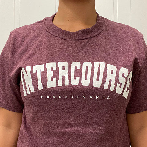 Basic Intercourse, PA T-Shirt