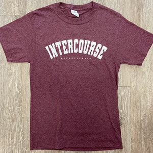 Basic Intercourse, PA T-Shirt