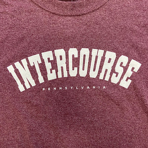 Basic Intercourse, PA T-Shirt