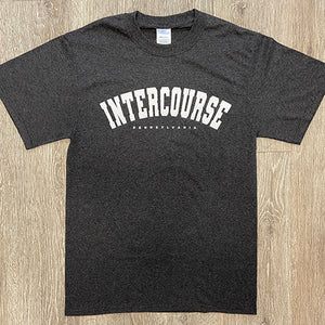 Basic Intercourse, PA T-Shirt