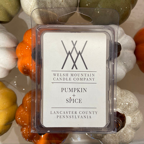 Pumpkin & Spice Wax Melts