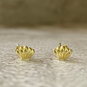 Shell Stud Earrings