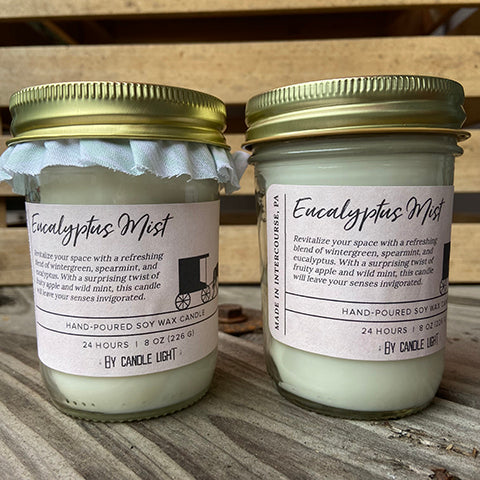 Eucalyptus Mist 8 oz Candles