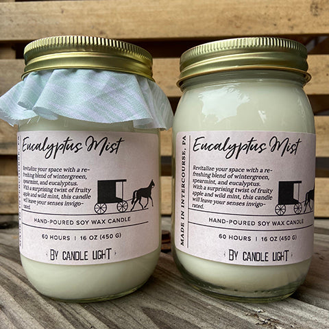 Eucalyptus Mist 16 oz Candles