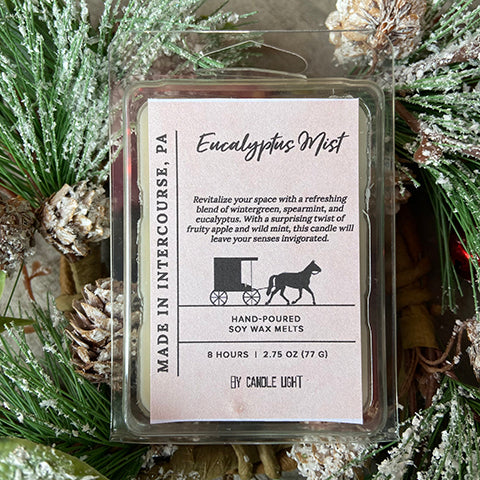 Eucalyptus Mist Candle Melts