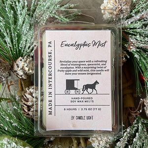 Eucalyptus Mist Candle Melts