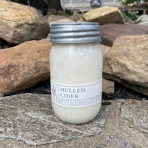 Mulled Cider Palm Wax Candle