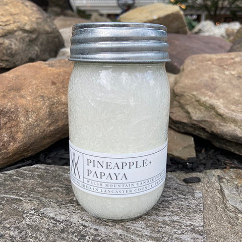 Pineapple & Papaya Palm Wax Candle