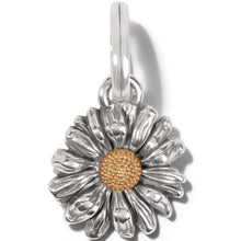 Daisy Dee Charm