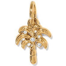 Desert Palm Charm