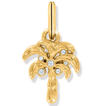 Desert Palm Charm