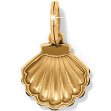 Shell Charm
