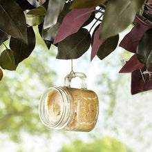 Peanut Butter Bird Feeder