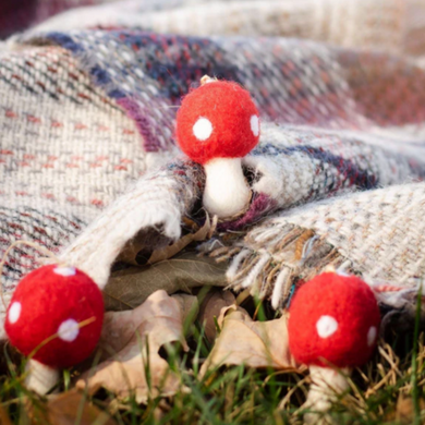 Mushroom Cat Toy