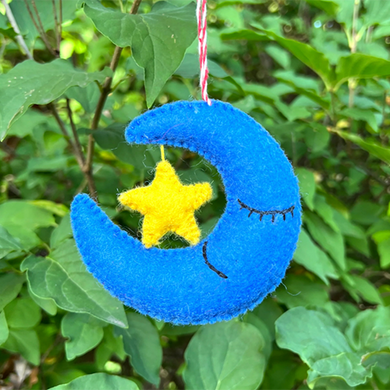 Moon & Star Wool Ornament