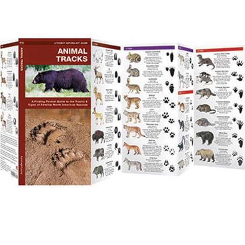 Animal Tracks Pocket Guide