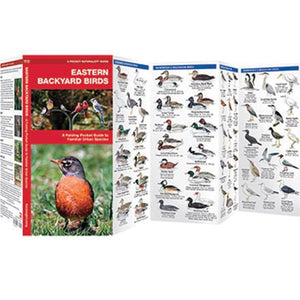 Eastern Backyard Birds Pocket Guide