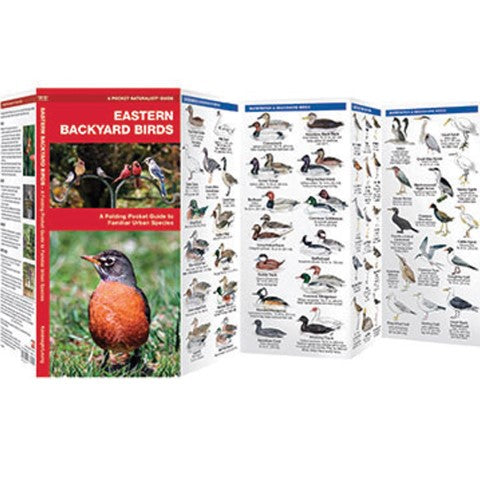 Eastern Backyard Birds Pocket Guide