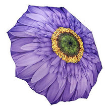 Wisteria Daisy Folding Umbrella
