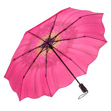 Pink Daisy Folding Umbrella