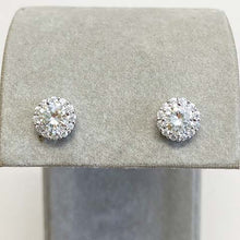 Halo Stud Moissanite Earrings
