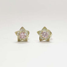 Pave Star with Cubic Zirconia Stone Stud Earrings
