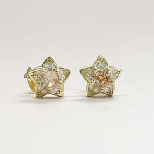 Pave Star with Cubic Zirconia Stone Stud Earrings