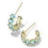 Cailin Huggie Earrings