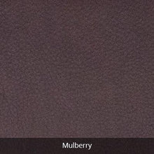 Sasha Crossbody/Sling Bag