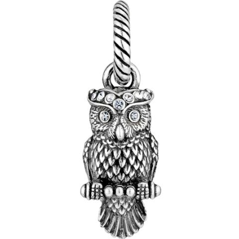 Wisdom Owl Charm