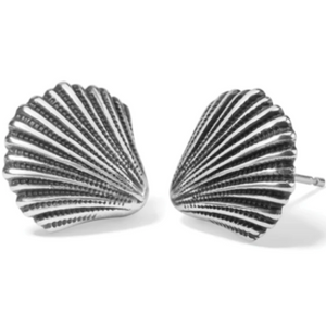 Shells Earrings