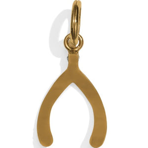 Wishbone Amulet