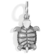 Pismo Turtle Charm