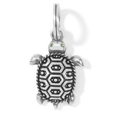 Pismo Turtle Charm