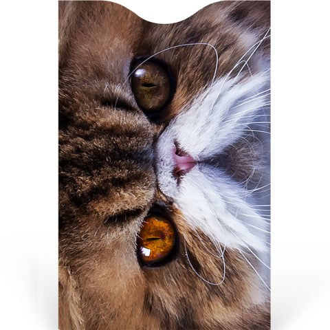 Cats Credit Card Sleeve