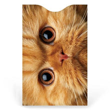 Cats Credit Card Sleeve