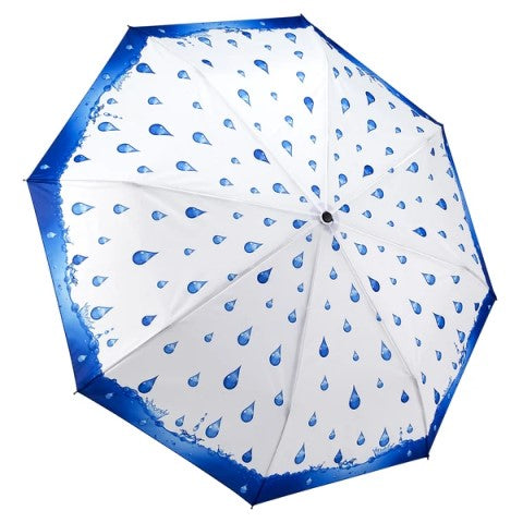 Rainy Season Umbrella